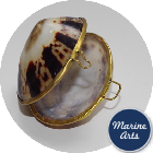 8319 - Polished Shell Purse - Limpet